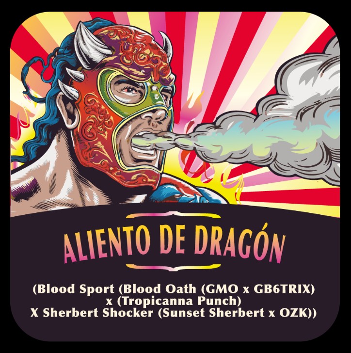 Captura de pantalla 2025-09-17 171746