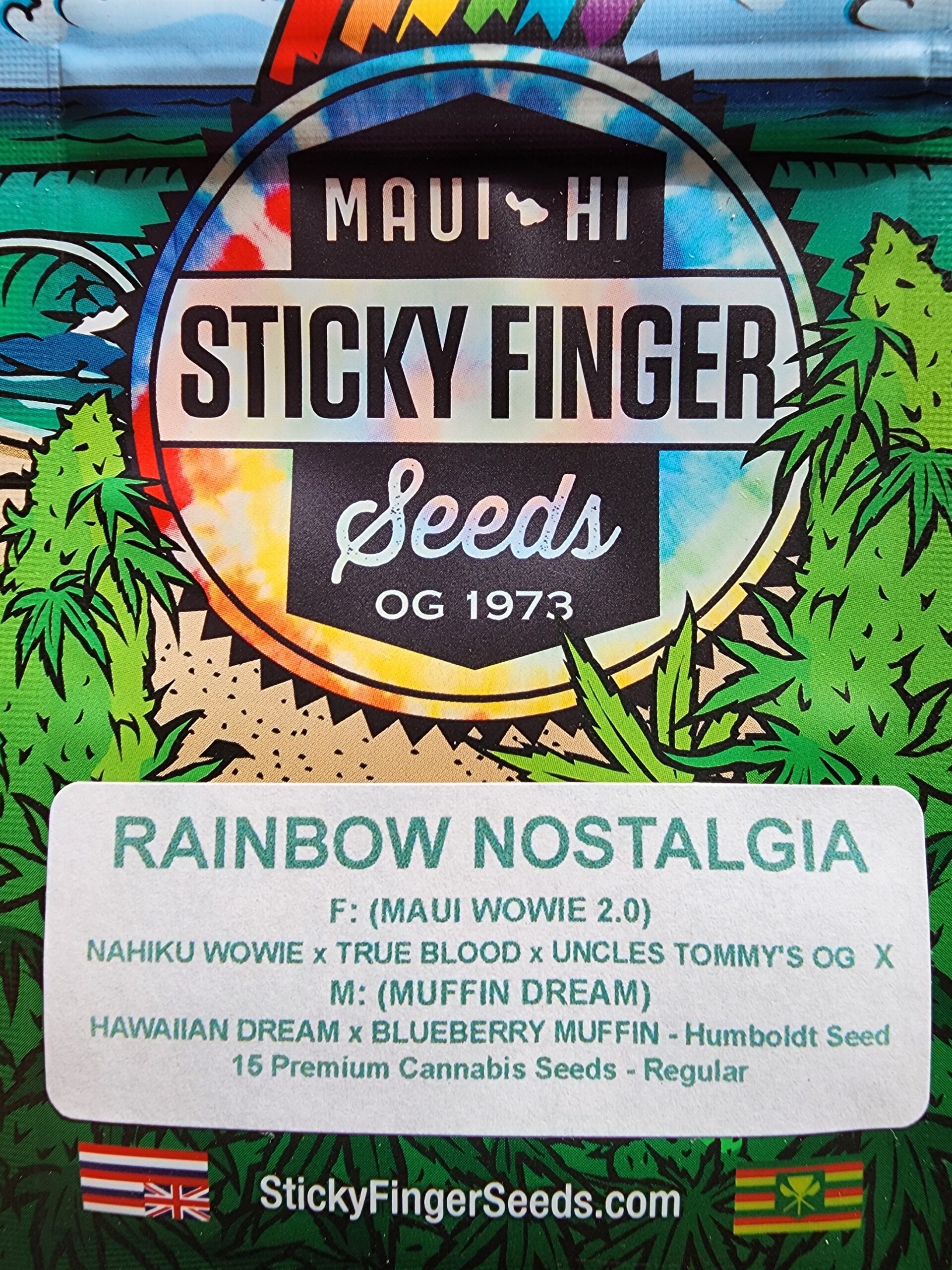 RAINBOW-NOSTALGIA-Reg-scaled