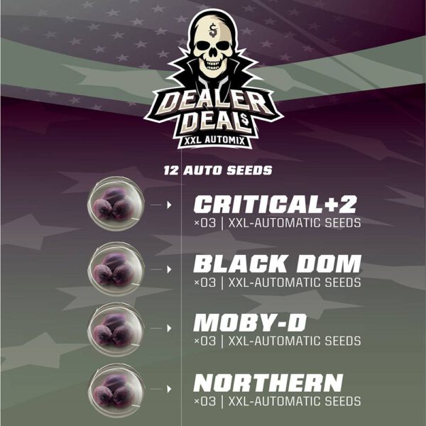 Dealer-deal-BSF-600x600-1