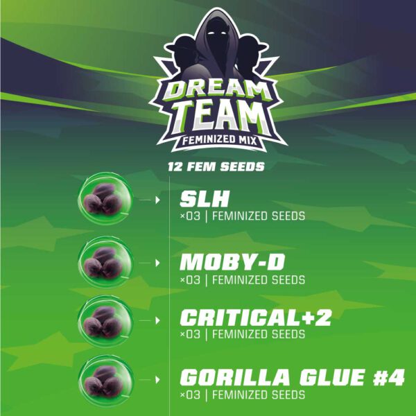 TEAMS-WEB_Dream-team-600x600-1